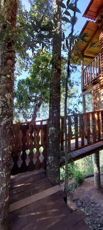Cabana En El Bosque De San Jose Del Pacifico Exterior photo