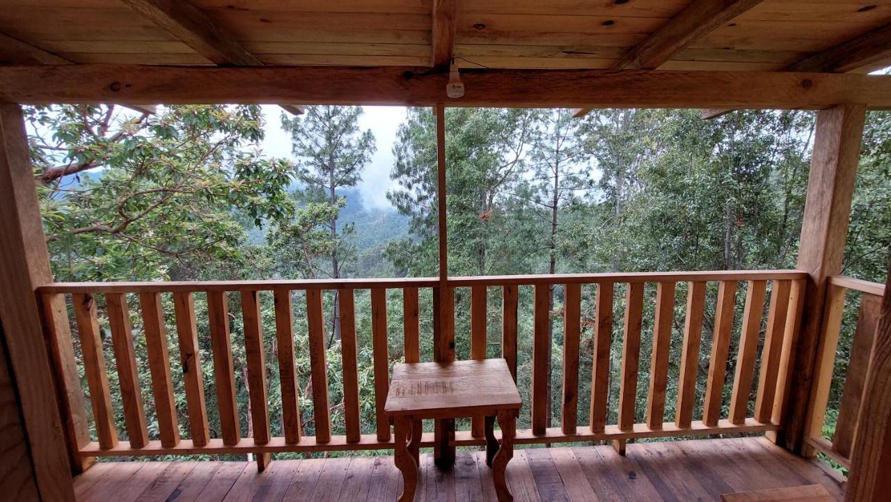 Cabana En El Bosque De San Jose Del Pacifico Exterior photo